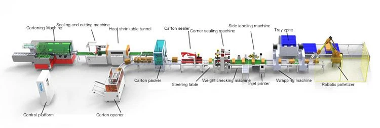 box packing machine cartoning
