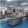 Pneumatic Piston Filling Machine